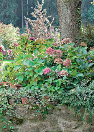 Lenzenhof Naturgarten