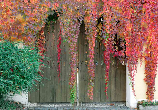 Lenzenhof Naturgarten