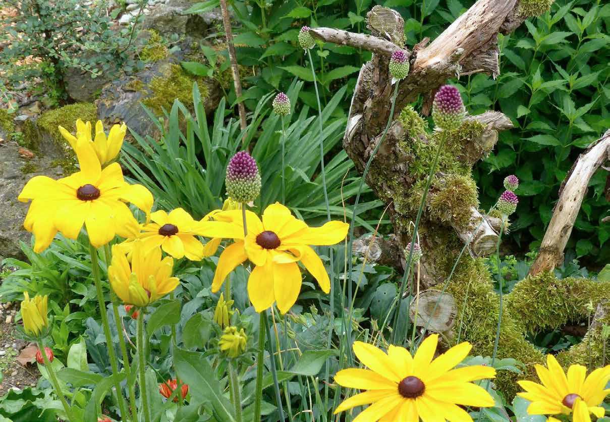 Naturgarten Lenzenhof